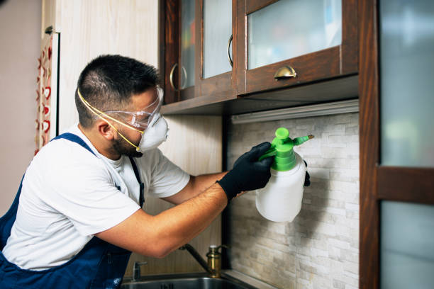 Reliable Coats Bend, AL Pest Control Solutions