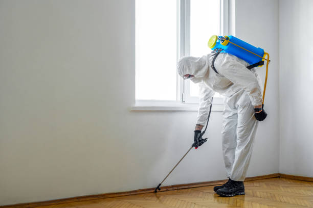 Best Ant Control Services  in Coats Bend, AL