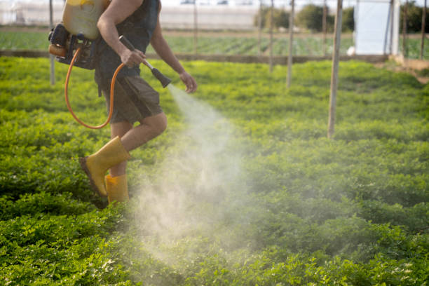Best Residential Pest Control  in Coats Bend, AL