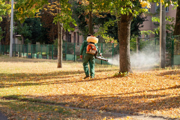 Best Pest Prevention Services  in Coats Bend, AL