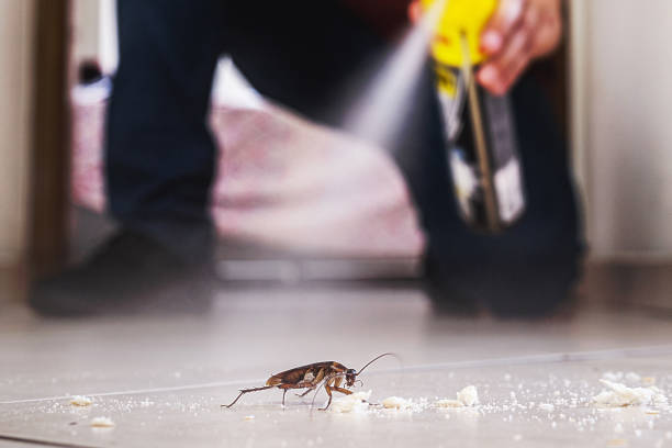 Best Insect Control  in Coats Bend, AL