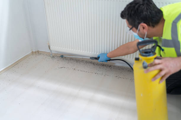 Best Best Pest Control Companies  in Coats Bend, AL