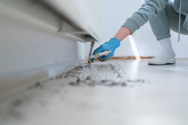 Best Wasp Removal Services  in Coats Bend, AL