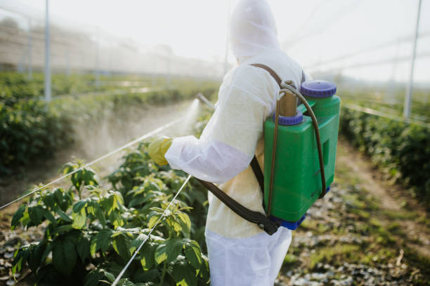 Best Flea Control Services  in Coats Bend, AL